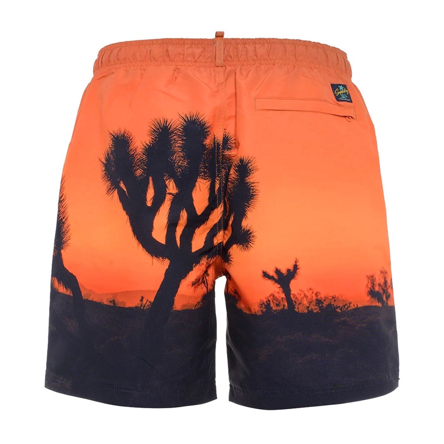 Superdry Swimwear